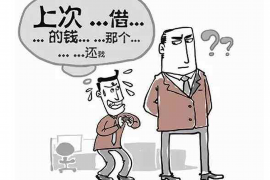 陆丰专业讨债公司有哪些核心服务？